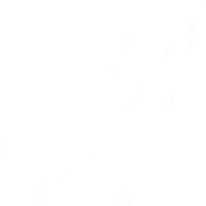 Meet your Posher, Bianca